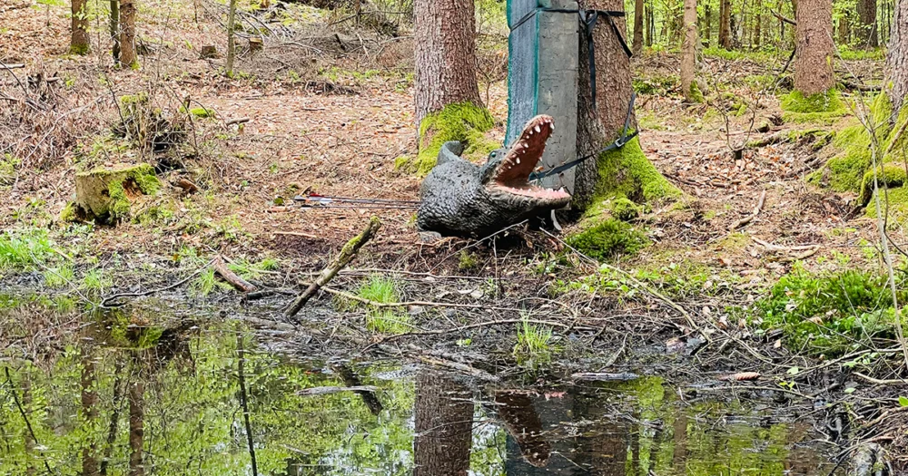 BSC Wörthersee 5 bsc woethersee 04