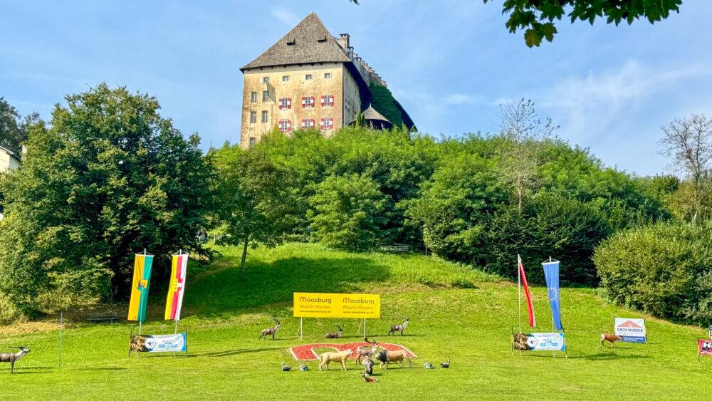 2x AAA Cup Turnier | 3D Archery Club Moosburg