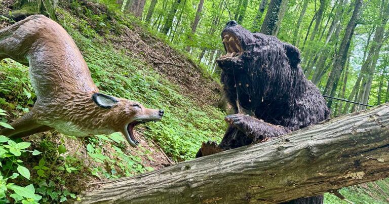 AAA 3D | Cup Turnier | BSV Takern II