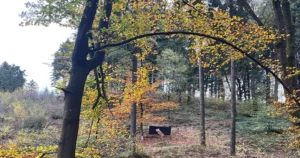 Die Karawane zieht weiter... auch nach Luftenberg