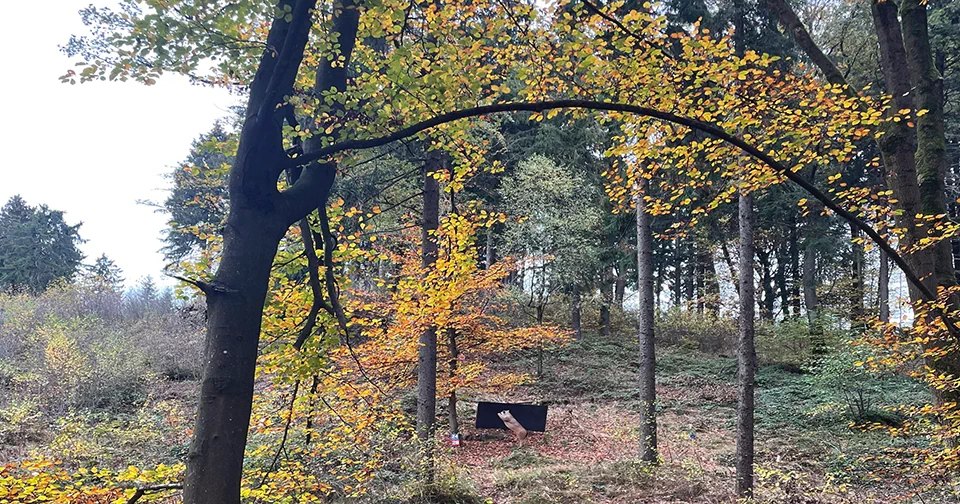 AAA | Turnier | BSC ASKÖ Luftenberg