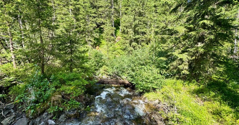 AAA 3D | Quartiere Planneralm