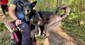 AAA 3D Cup Turnier 2025 in St. Oswald