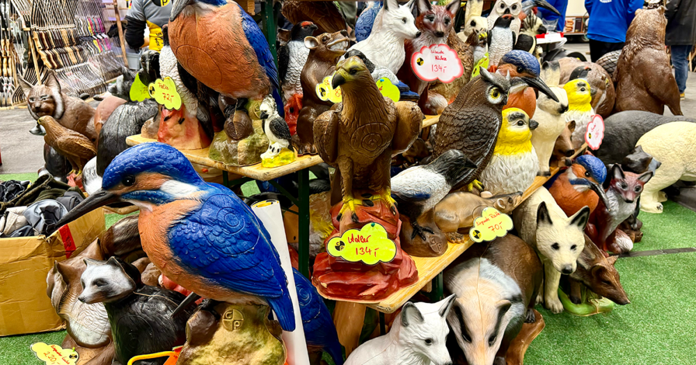 Bogensportmesse 2026 6 2026 messe wels 03