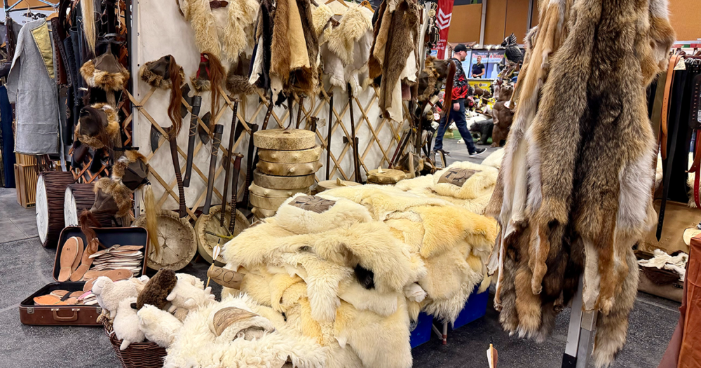 Bogensportmesse 2026 3 2026 messe wels 10